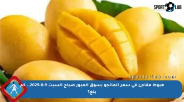 هبوط مفاجئ في سعر المانجو بسوق العبور صباح السبت 9-8-2025.. كم بلغ؟